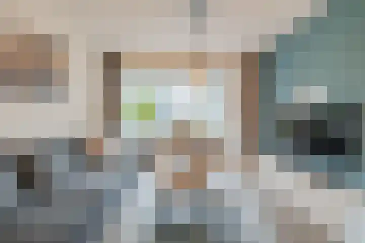 Grote Bisschop 32 Heino thumbnail 13