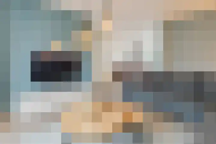 Grote Bisschop 32 Heino thumbnail 14