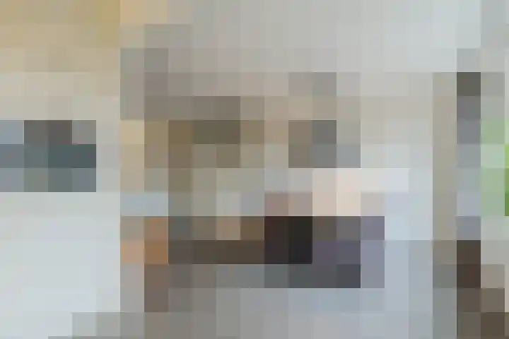 Grote Bisschop 32 Heino thumbnail 17
