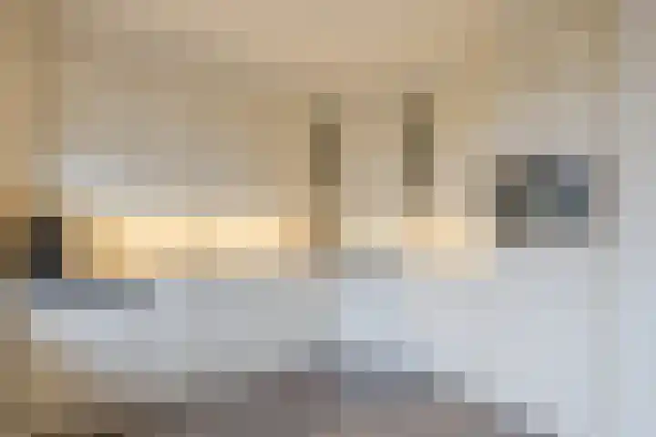 Grote Bisschop 32 Heino thumbnail 18
