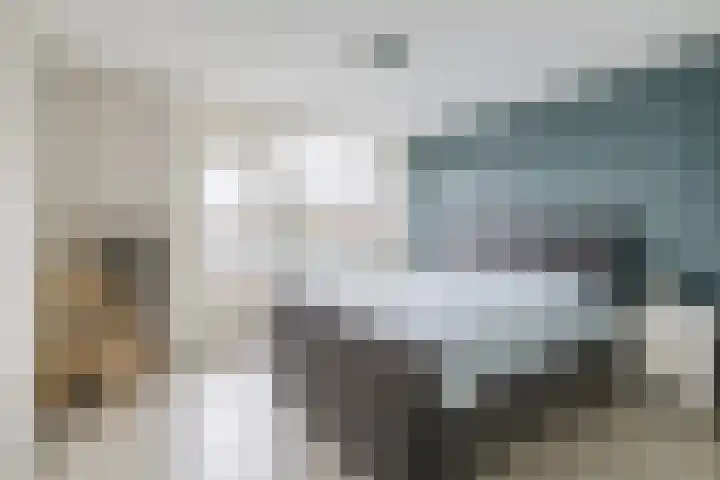 Grote Bisschop 32 Heino thumbnail 22