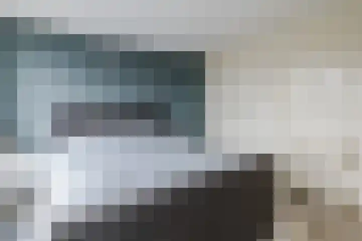 Grote Bisschop 32 Heino thumbnail 23