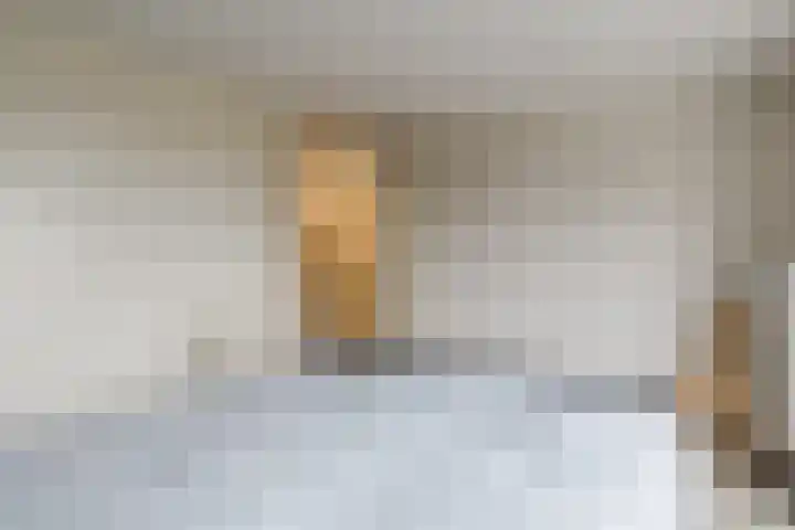 Grote Bisschop 32 Heino thumbnail 24