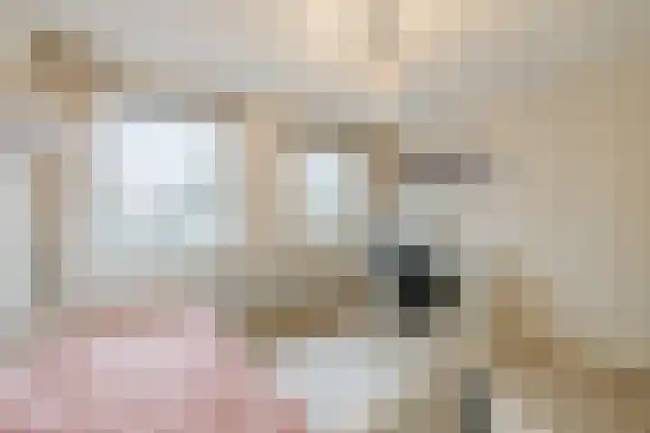 Grote Bisschop 32 Heino thumbnail 25