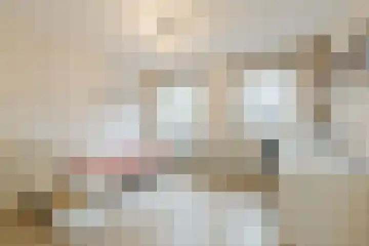 Grote Bisschop 32 Heino thumbnail 26