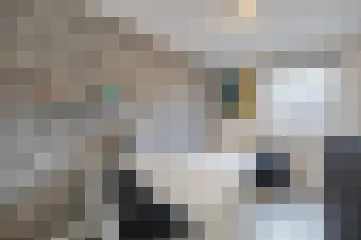 Grote Bisschop 32 Heino thumbnail 28