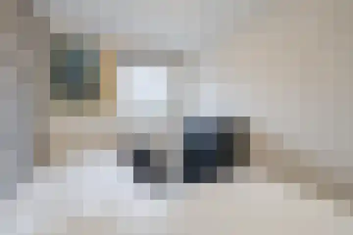Grote Bisschop 32 Heino thumbnail 29