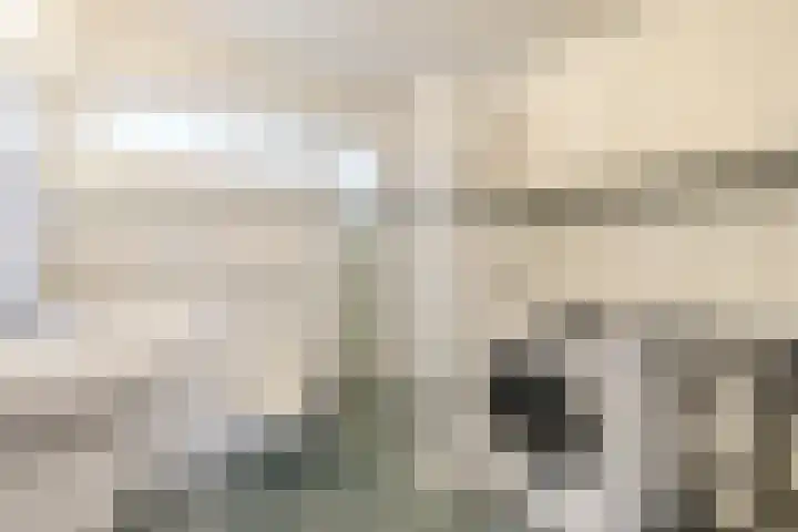 Grote Bisschop 32 Heino thumbnail 31