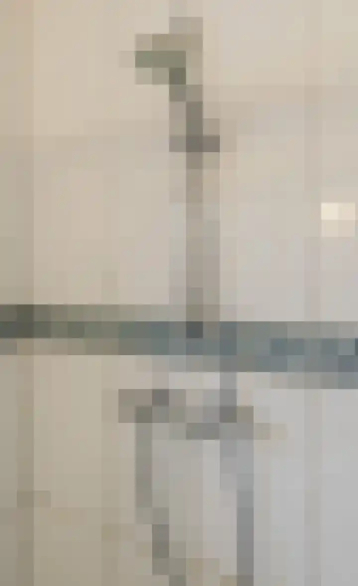 Grote Bisschop 32 Heino thumbnail 32
