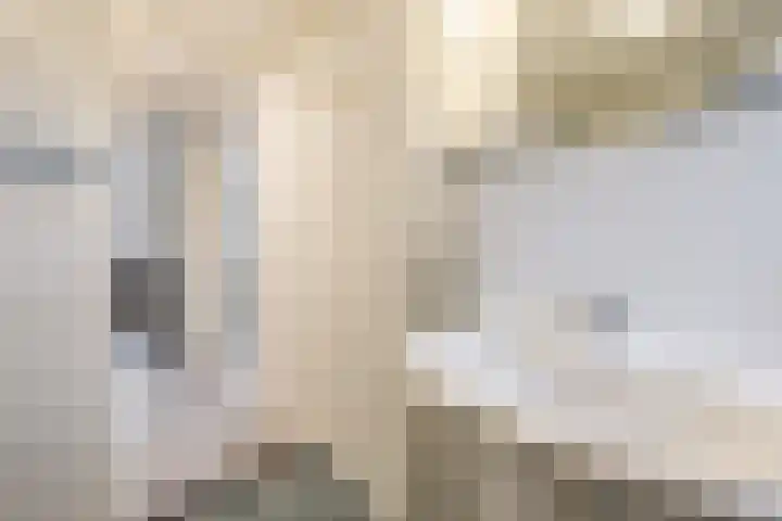 Grote Bisschop 32 Heino thumbnail 33