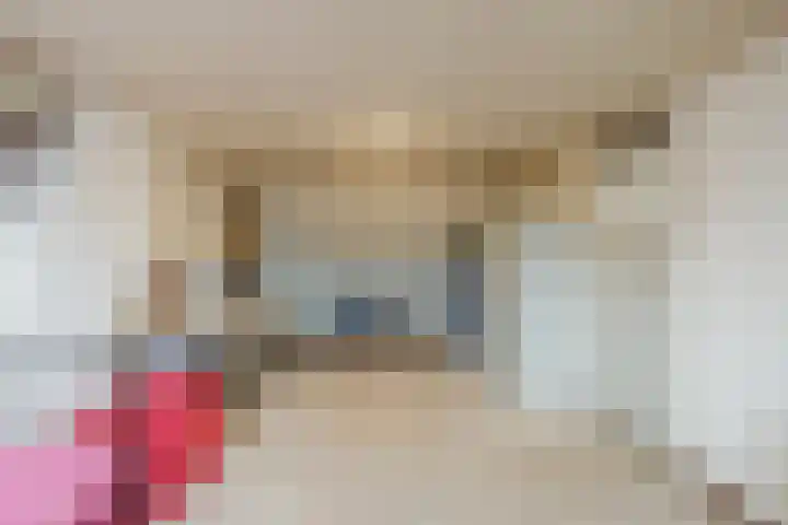 Grote Bisschop 32 Heino thumbnail 38