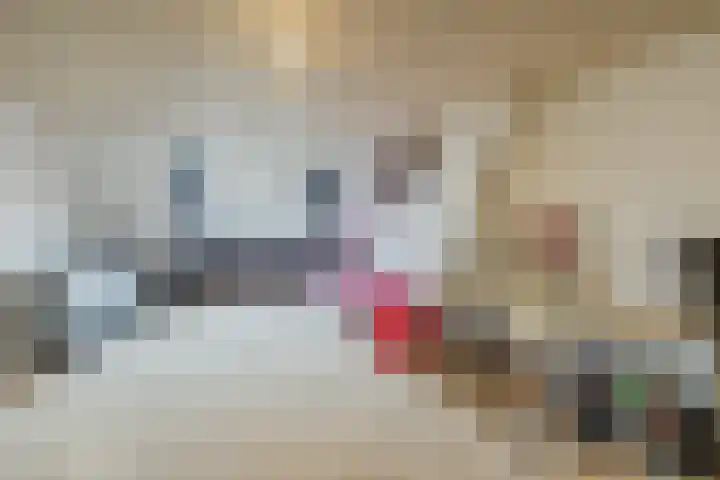 Grote Bisschop 32 Heino thumbnail 39