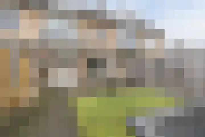 Grote Bisschop 32 Heino thumbnail 40