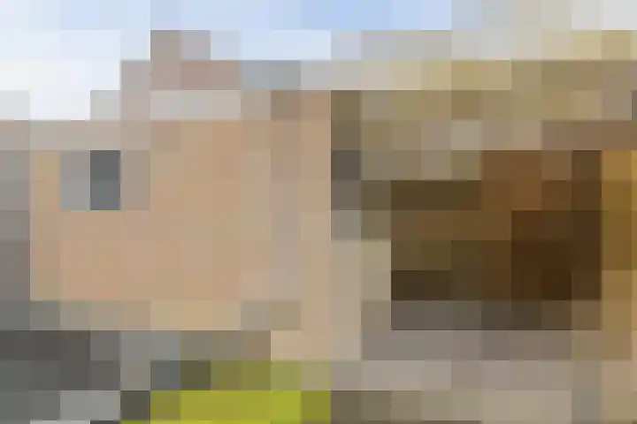 Grote Bisschop 32 Heino thumbnail 43