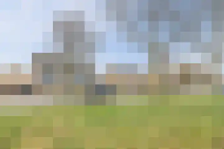 Grote Bisschop 32 Heino thumbnail 44