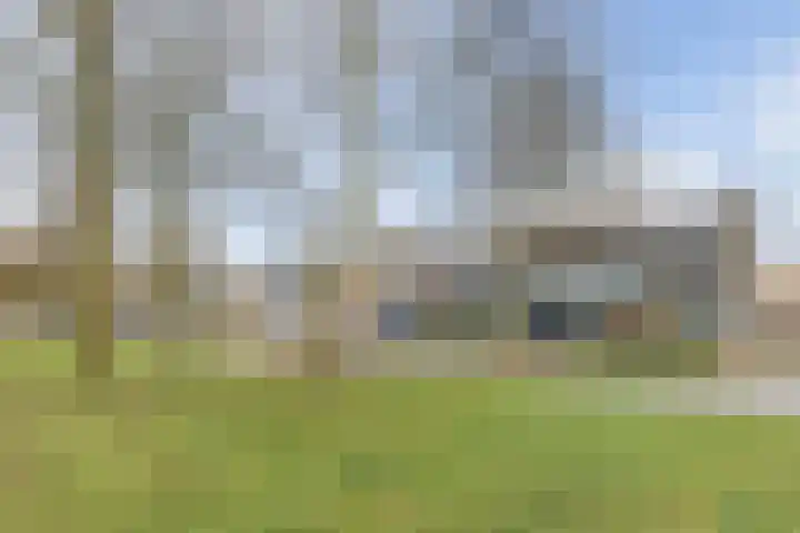 Grote Bisschop 32 Heino thumbnail 45