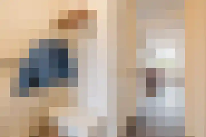 Grote Bisschop 32 Heino thumbnail 5