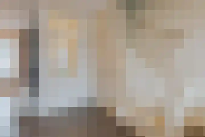 Grote Bisschop 32 Heino thumbnail 6