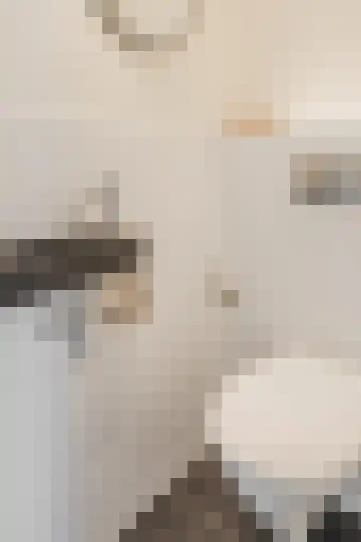 Grote Bisschop 32 Heino thumbnail 8