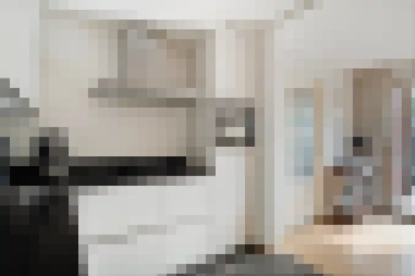 Grote Bloemkamp 12 Ermelo thumbnail 18