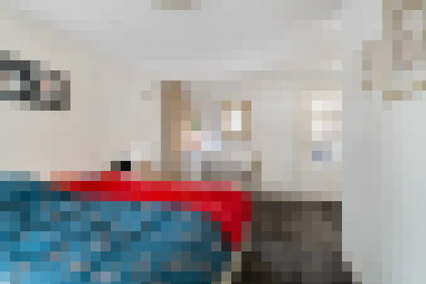 Grote Bloemkamp 12 Ermelo thumbnail 26