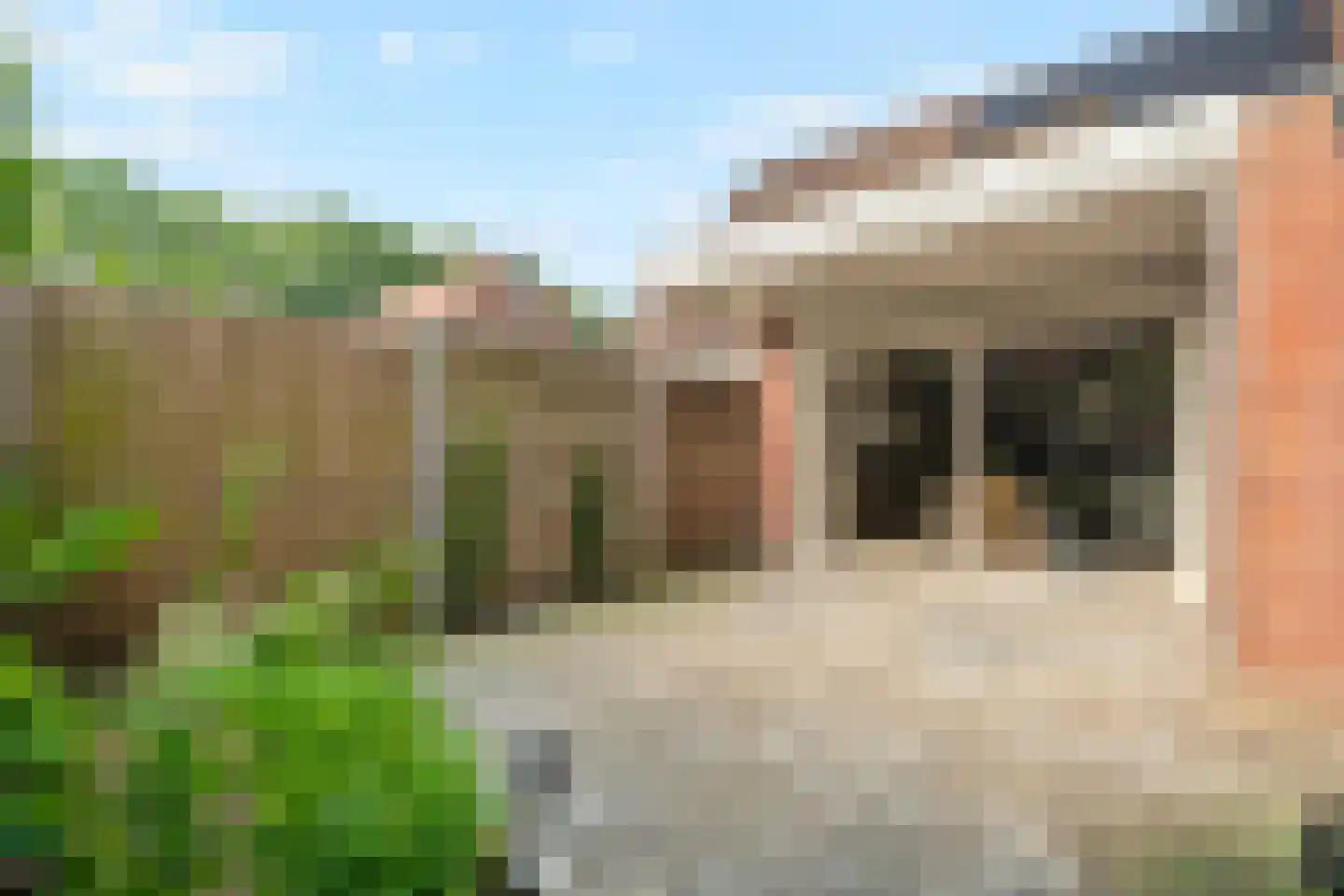 Grote Bloemkamp 12 Ermelo thumbnail 35