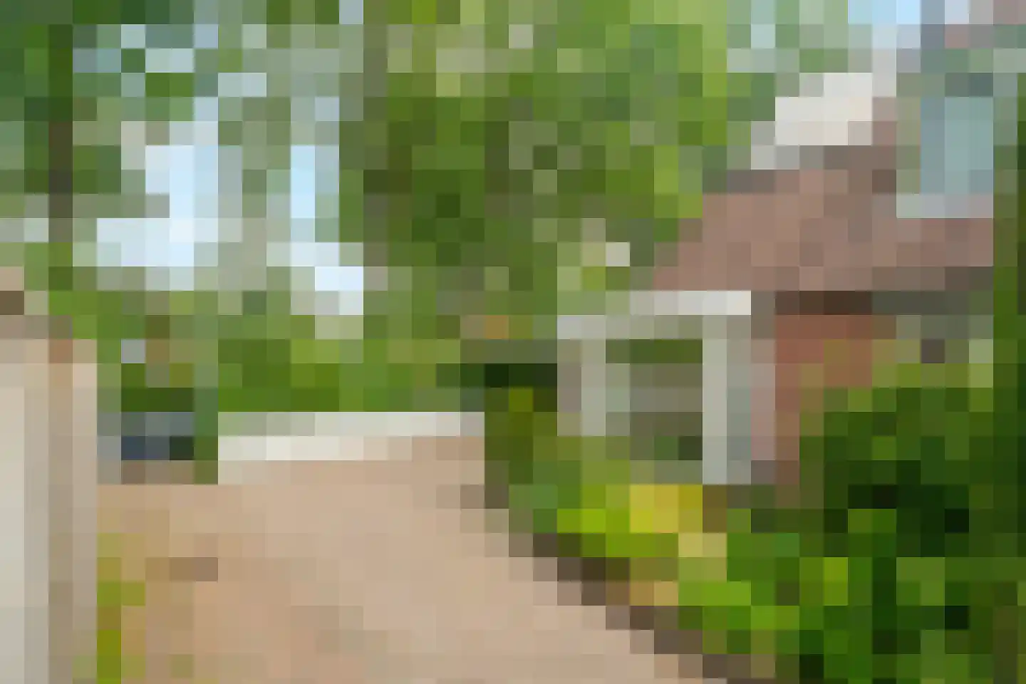 Grote Bloemkamp 12 Ermelo thumbnail 38