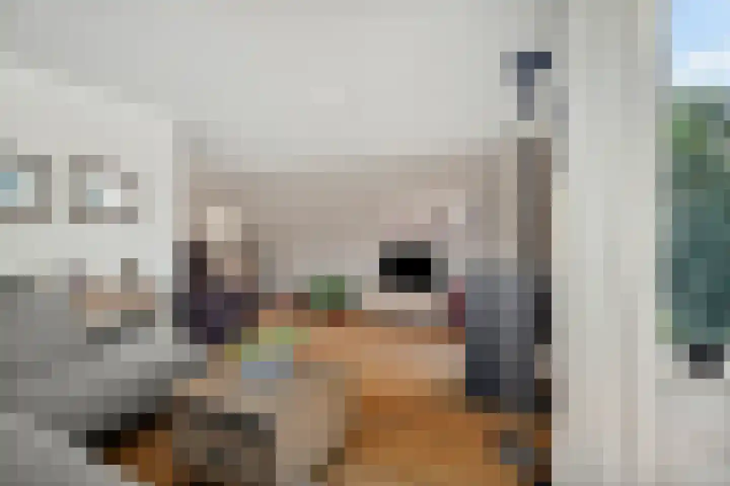 Grote Bloemkamp 12 Ermelo thumbnail 9
