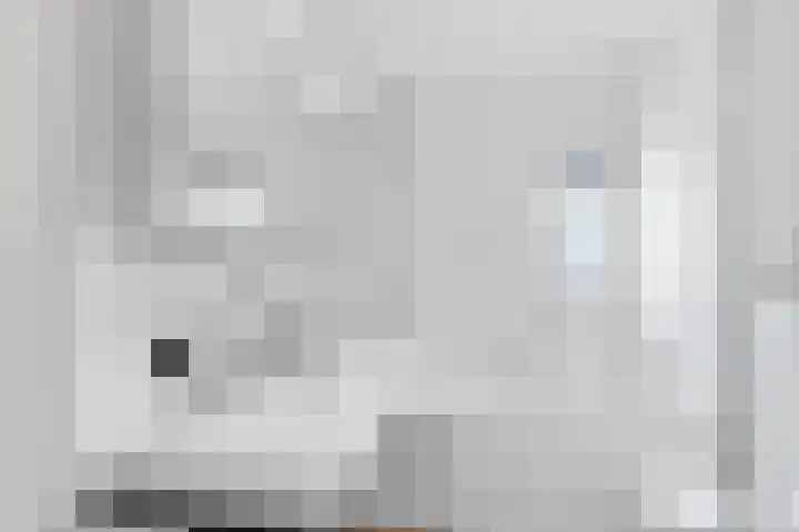 Grote Boel 1 Nijmegen thumbnail 19