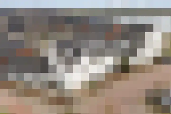 Grote Boel 1 Nijmegen foto 2
