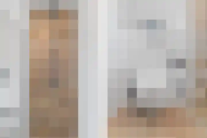 Grote Boel 1 Nijmegen thumbnail 20