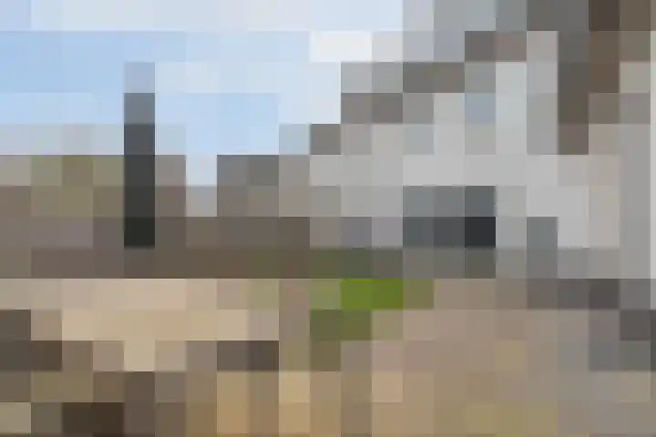 Grote Boel 1 Nijmegen thumbnail 24
