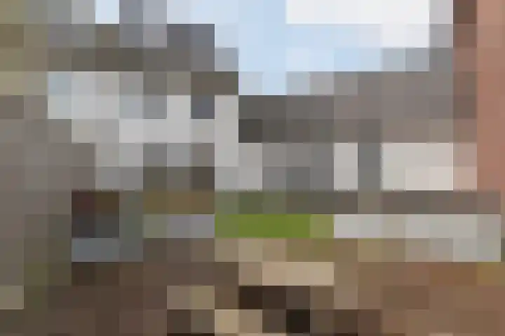 Grote Boel 1 Nijmegen thumbnail 25