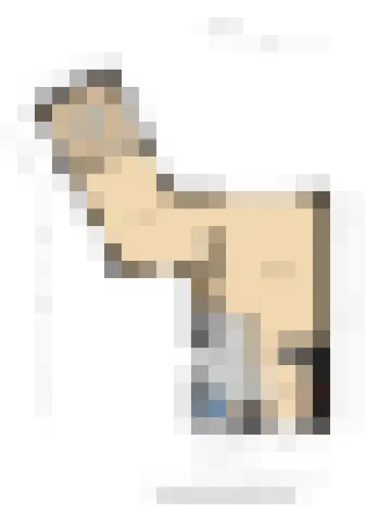 Grote Boel 1 Nijmegen thumbnail 27