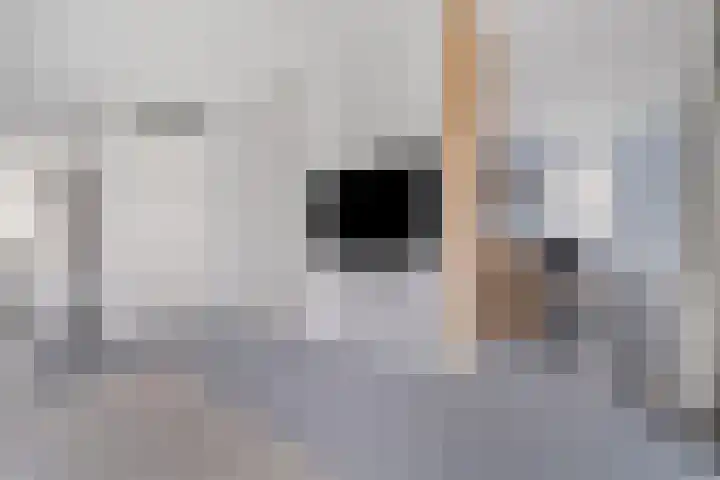 Grote Boel 1 Nijmegen thumbnail 7