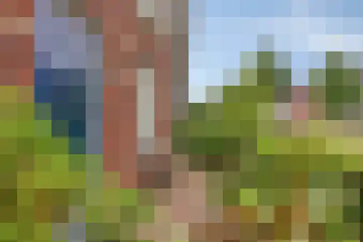 Grote Boel 84 Nijmegen thumbnail 11