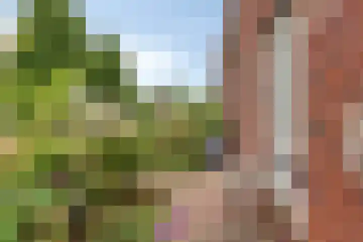 Grote Boel 84 Nijmegen thumbnail 12