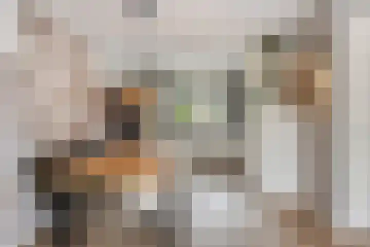 Grote Boel 84 Nijmegen thumbnail 21