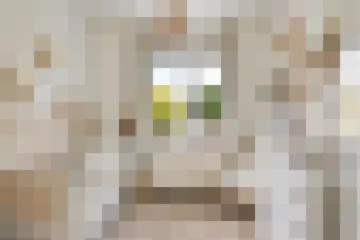 Grote Boel 84 Nijmegen thumbnail 30