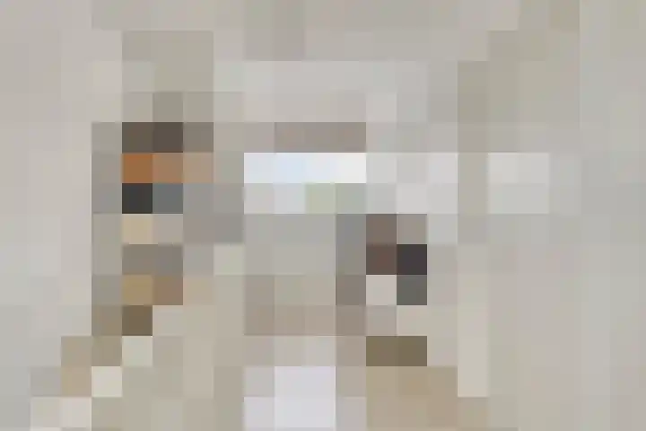 Grote Boel 84 Nijmegen thumbnail 34
