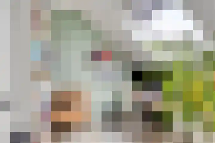 Grote Boel 84 Nijmegen thumbnail 38