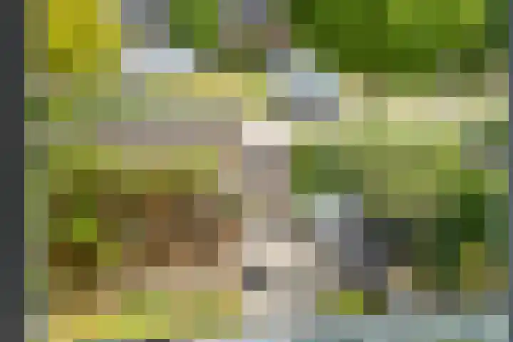 Grote Boel 84 Nijmegen thumbnail 39
