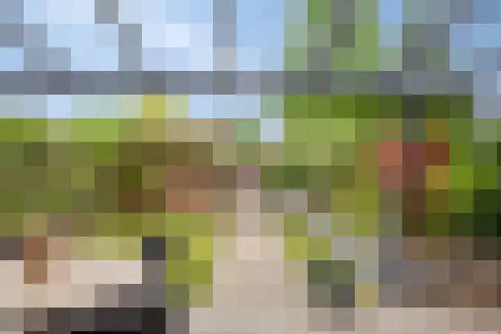 Grote Boel 84 Nijmegen thumbnail 40