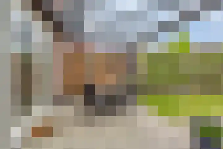 Grote Boel 84 Nijmegen thumbnail 41