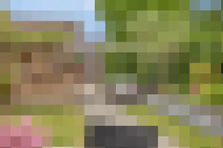 Grote Boel 84 Nijmegen thumbnail 42