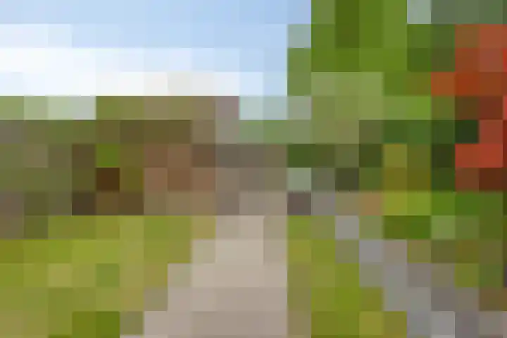 Grote Boel 84 Nijmegen thumbnail 43