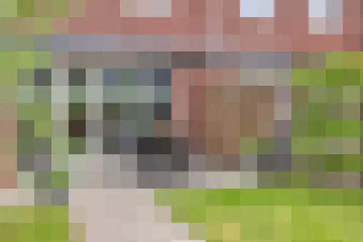 Grote Boel 84 Nijmegen thumbnail 44