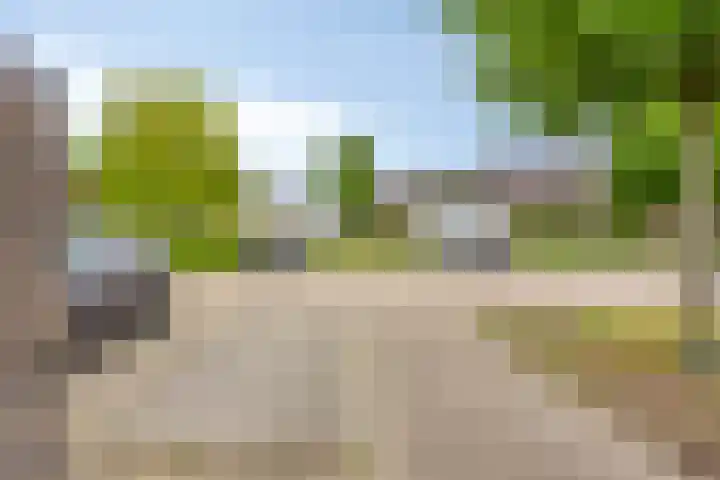 Grote Boel 84 Nijmegen thumbnail 45
