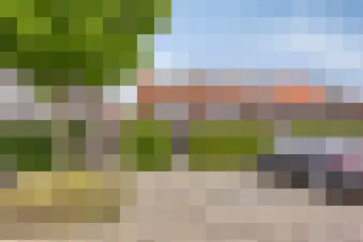 Grote Boel 84 Nijmegen thumbnail 46