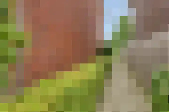 Grote Boel 84 Nijmegen thumbnail 48